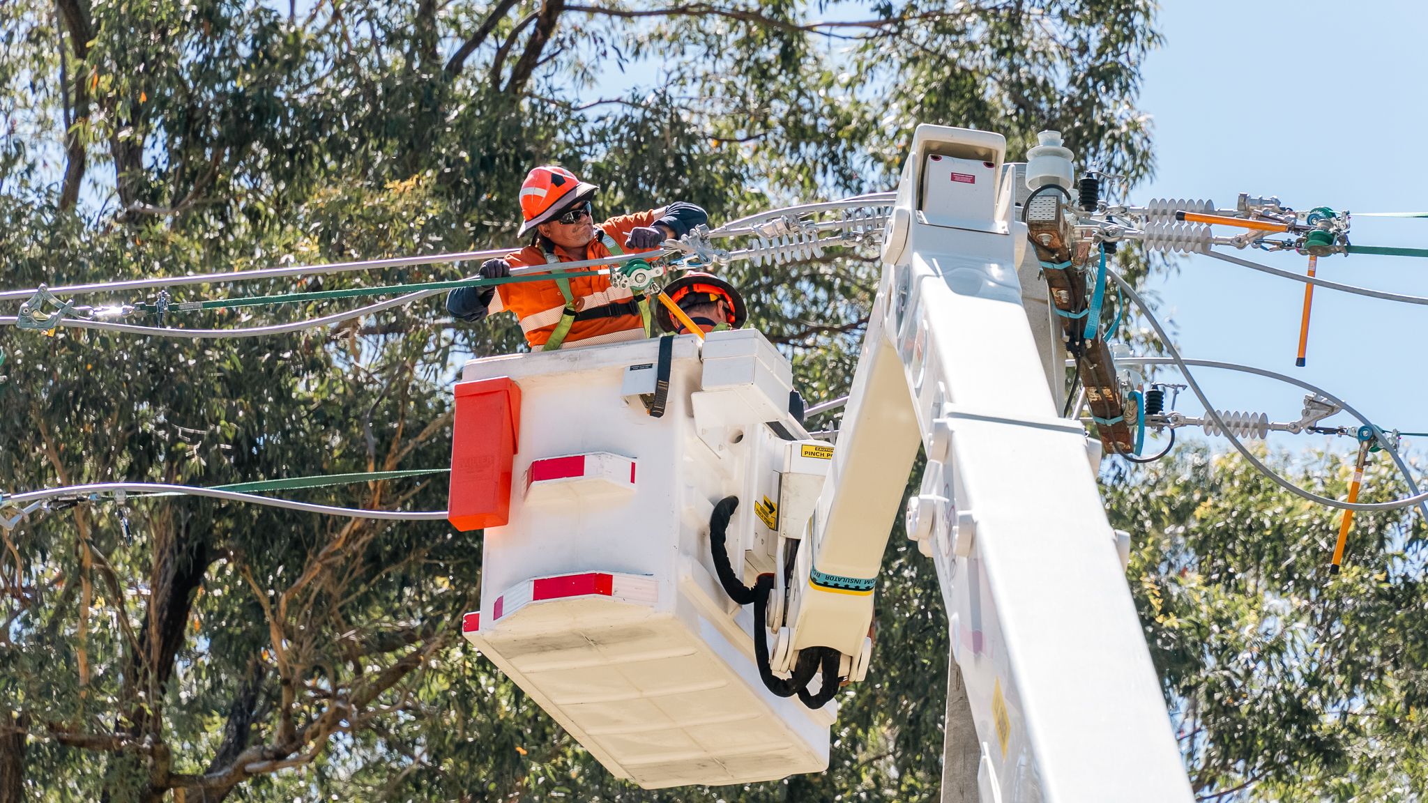 proactive-bushfire-preparation-endeavour-energy